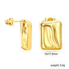 Brilliant Shine Earrings