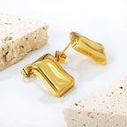 Brilliant Shine Earrings