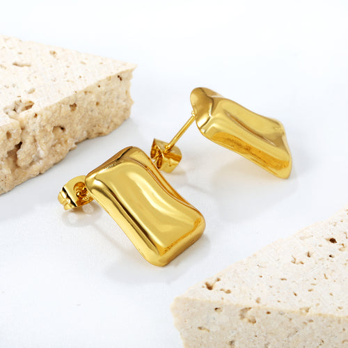 Brilliant Shine Earrings